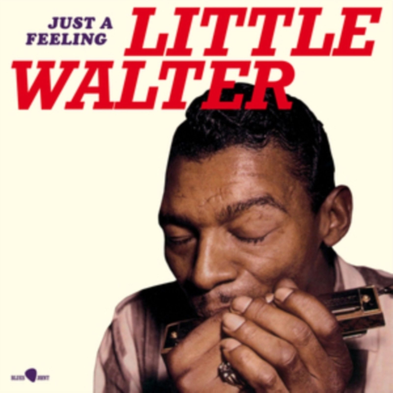 Little Walter Fotoğrafı - 3