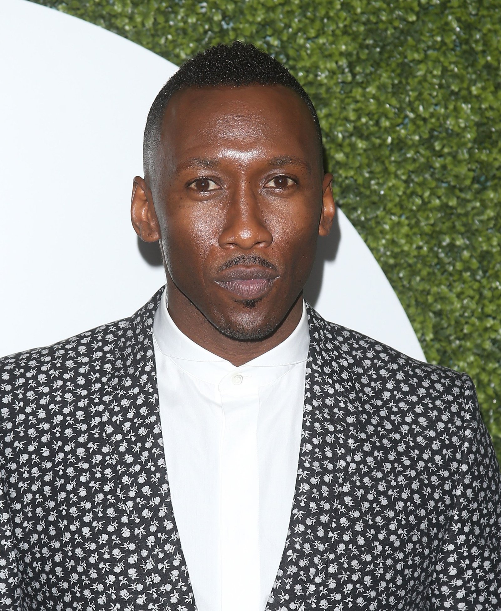 Mahershala Ali Fotoğrafı - 2