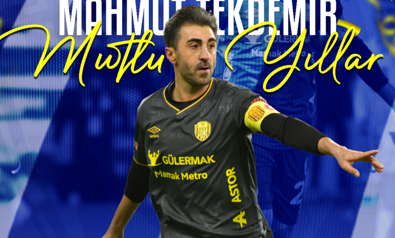 Mahmut Tekdemir Profil Resmi