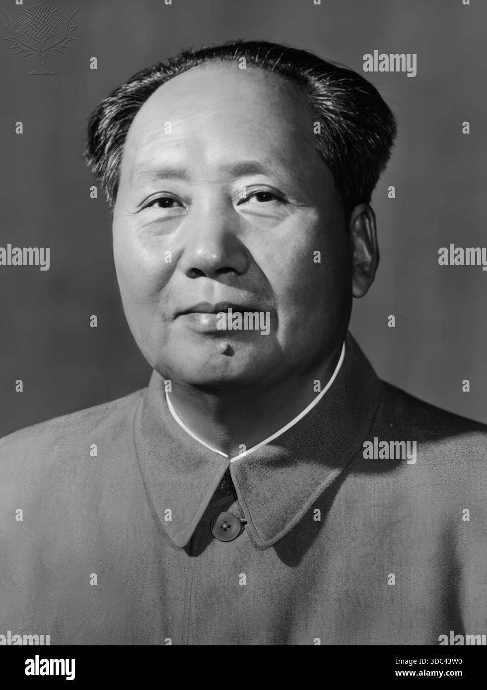 Mao Zedong Fotoğrafı - 1