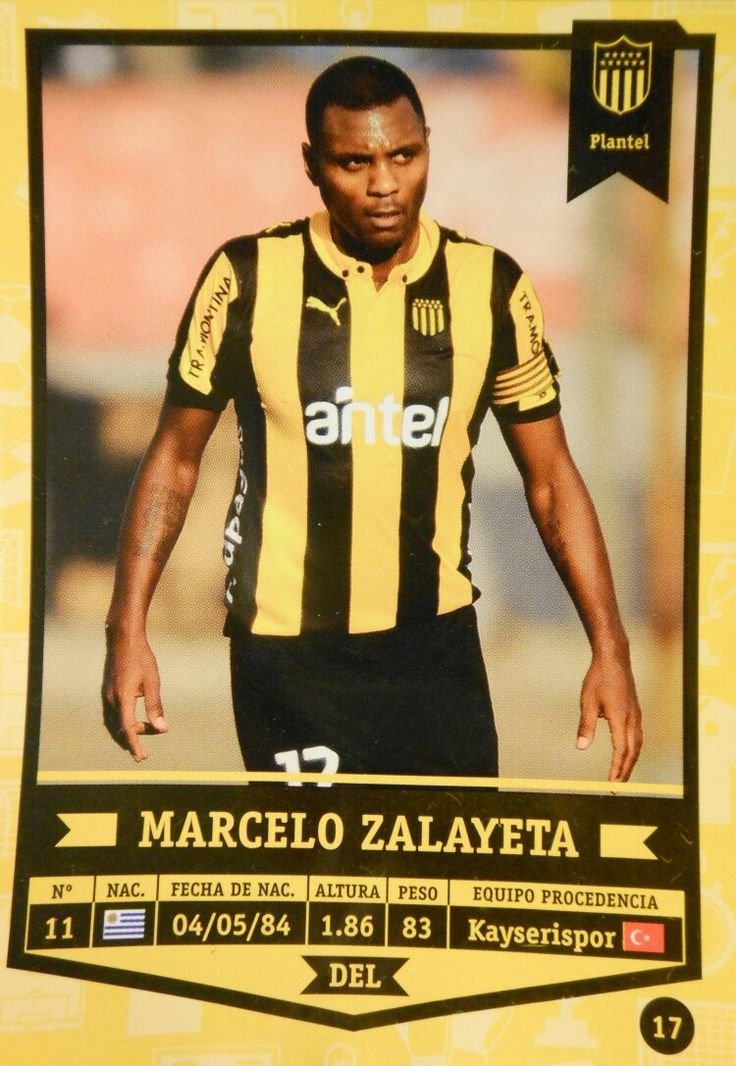 Marcelo Zalayeta Profil Resmi
