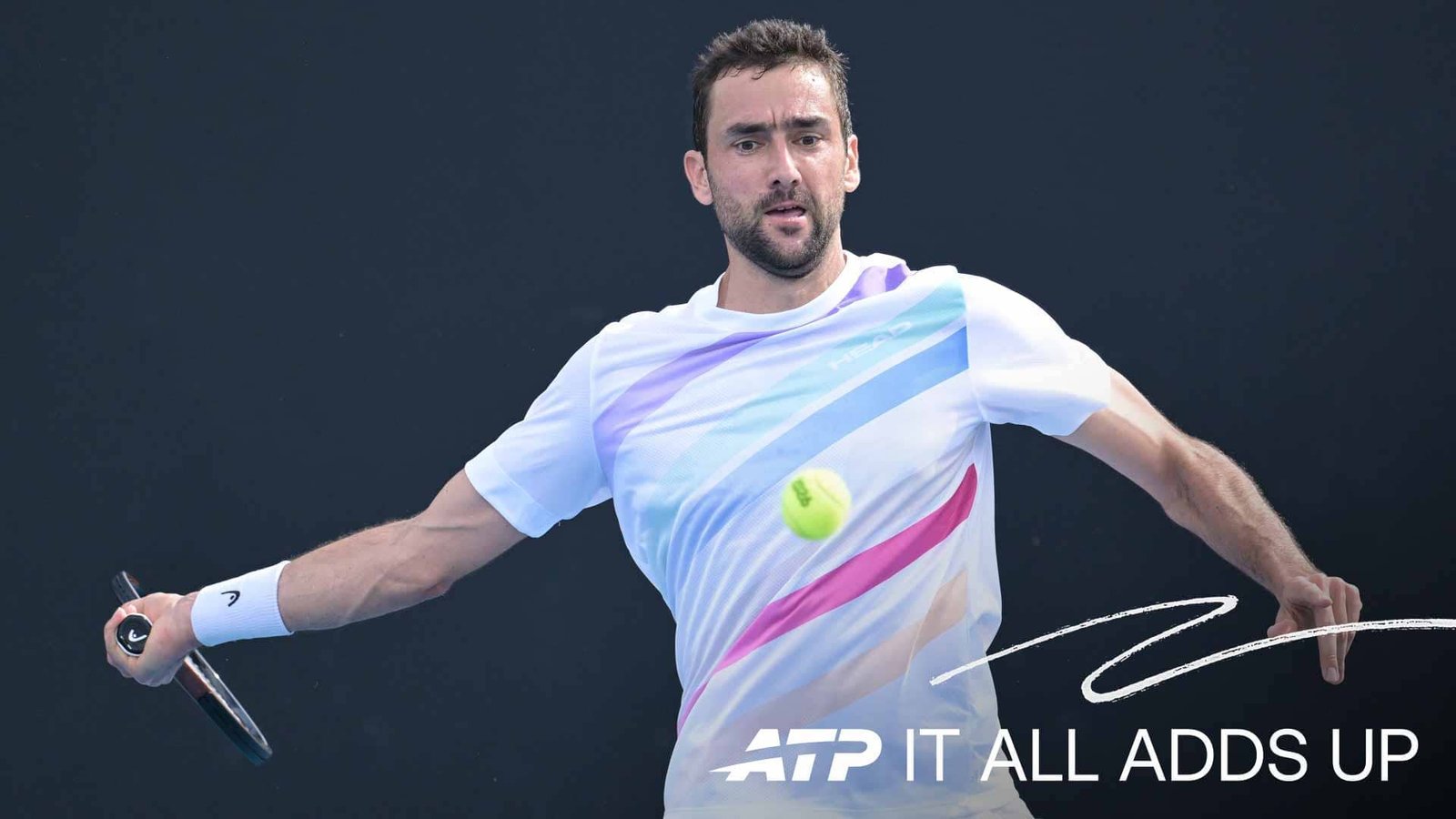 Marin Cilic Fotoğrafı - 2
