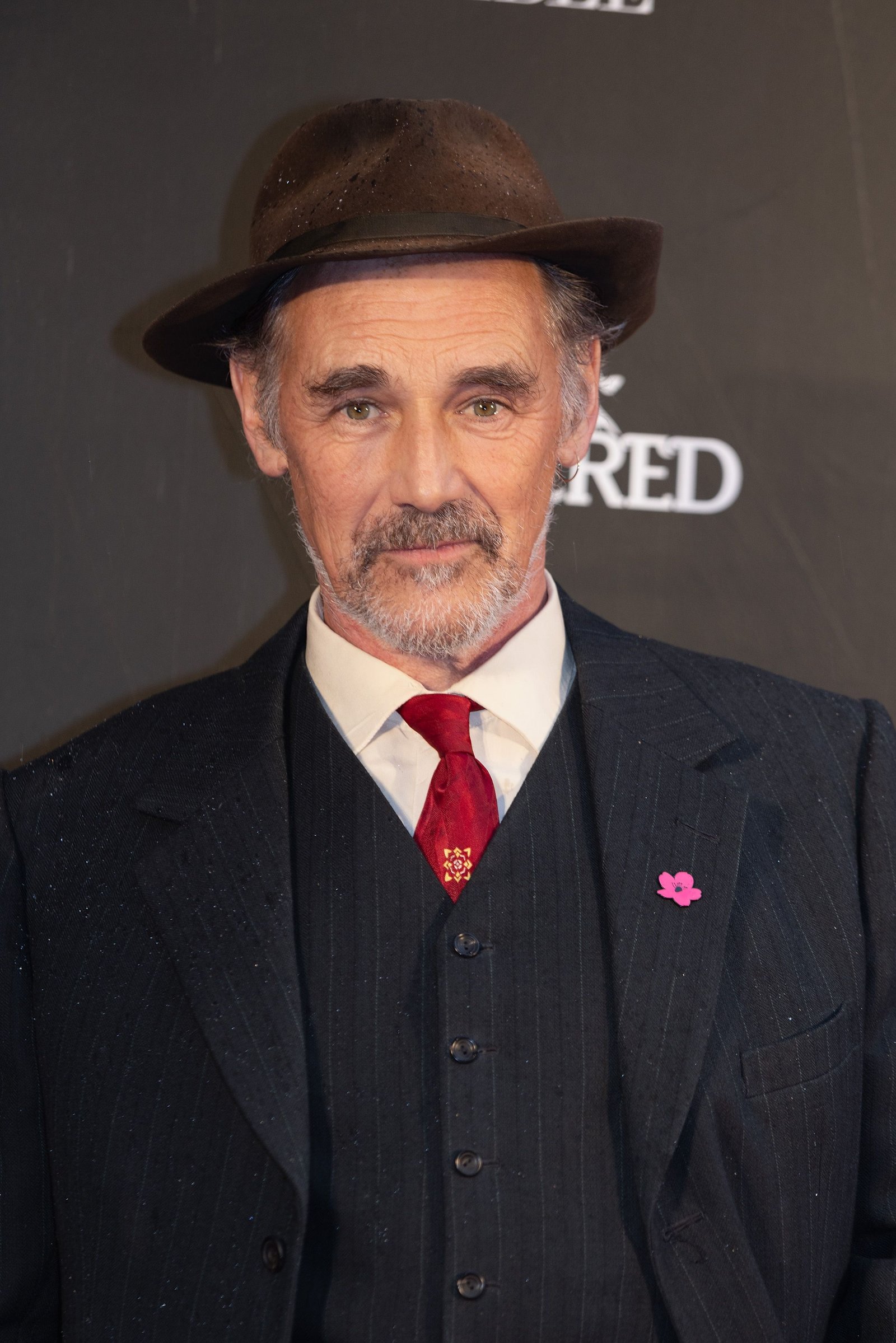 Mark Rylance Profil Resmi