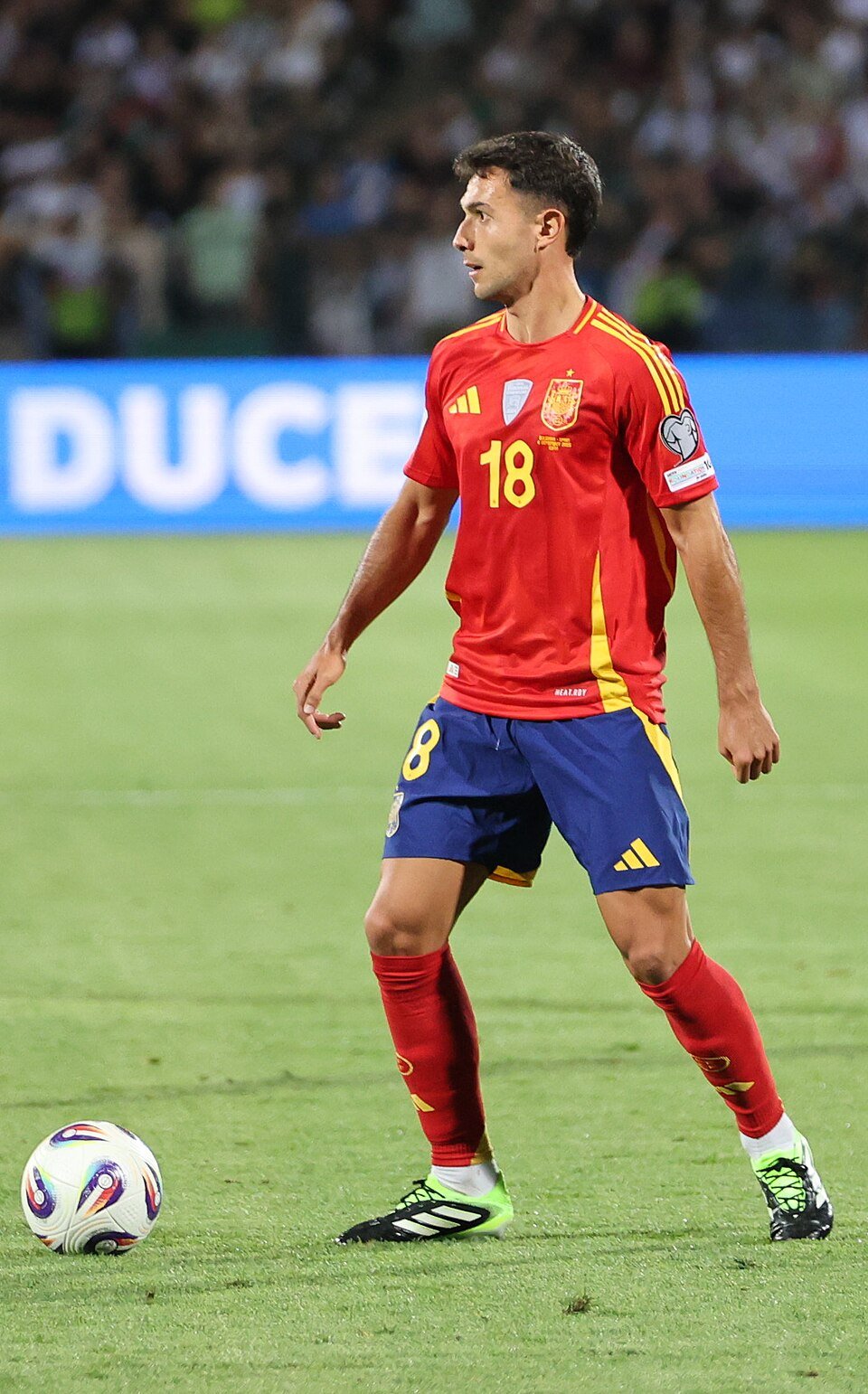 Martín Zubimendi Profil Resmi