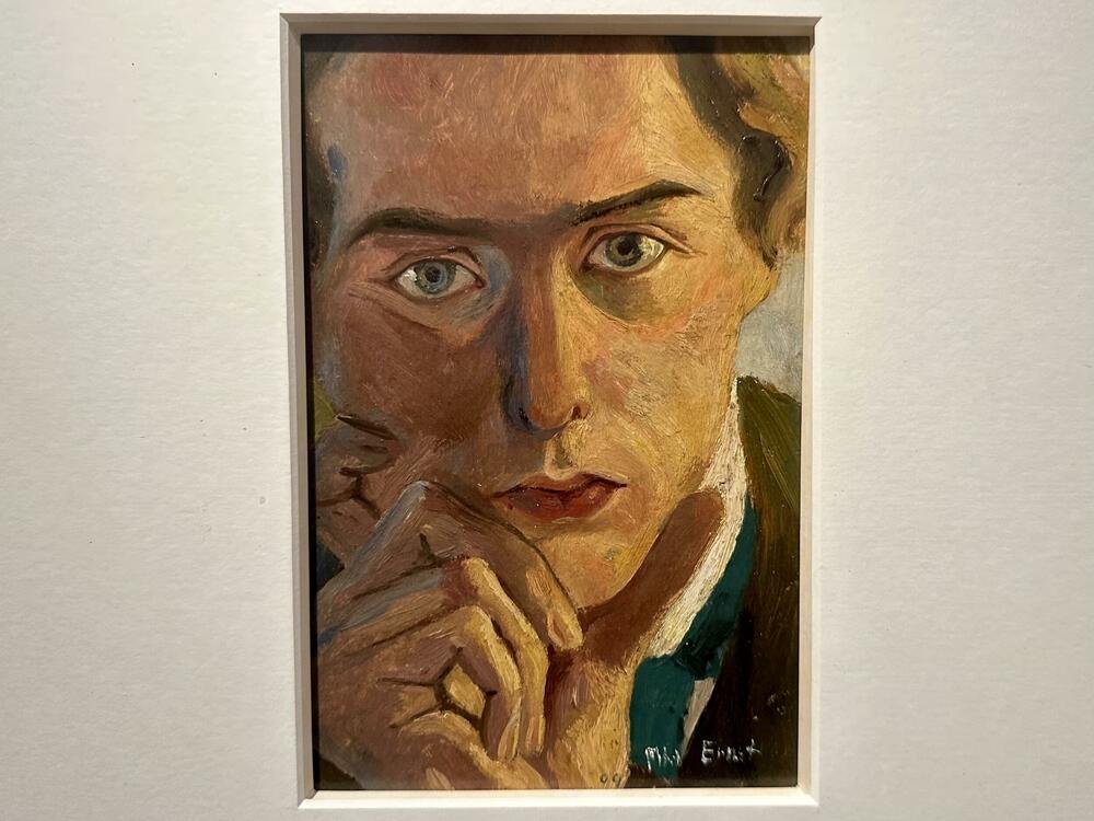 Max Ernst Fotoğrafı - 5
