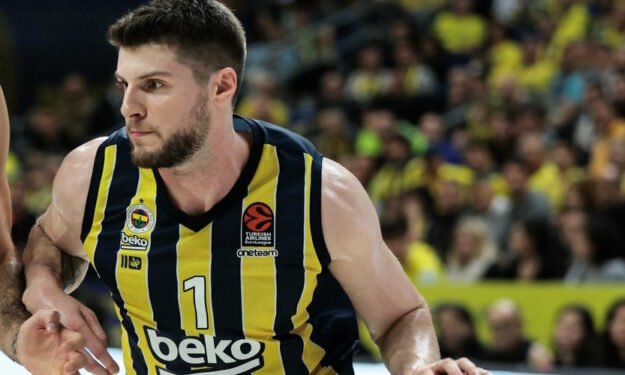 Metecan Birsen Profil Resmi