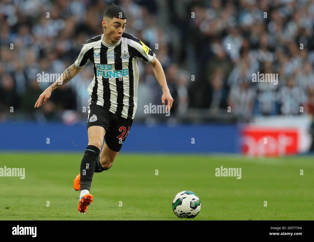 Miguel Almirón Fotoğrafı - 3