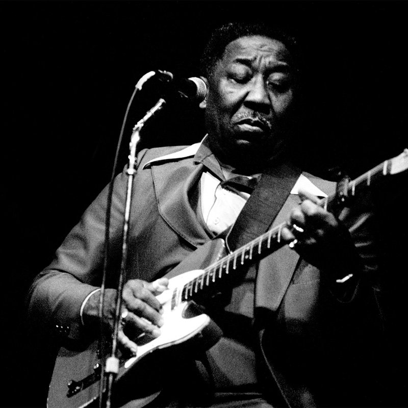 Muddy Waters Fotoğrafı - 3