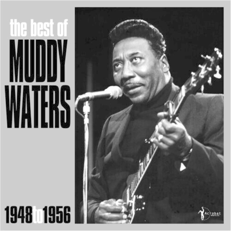 Muddy Waters Fotoğrafı - 5