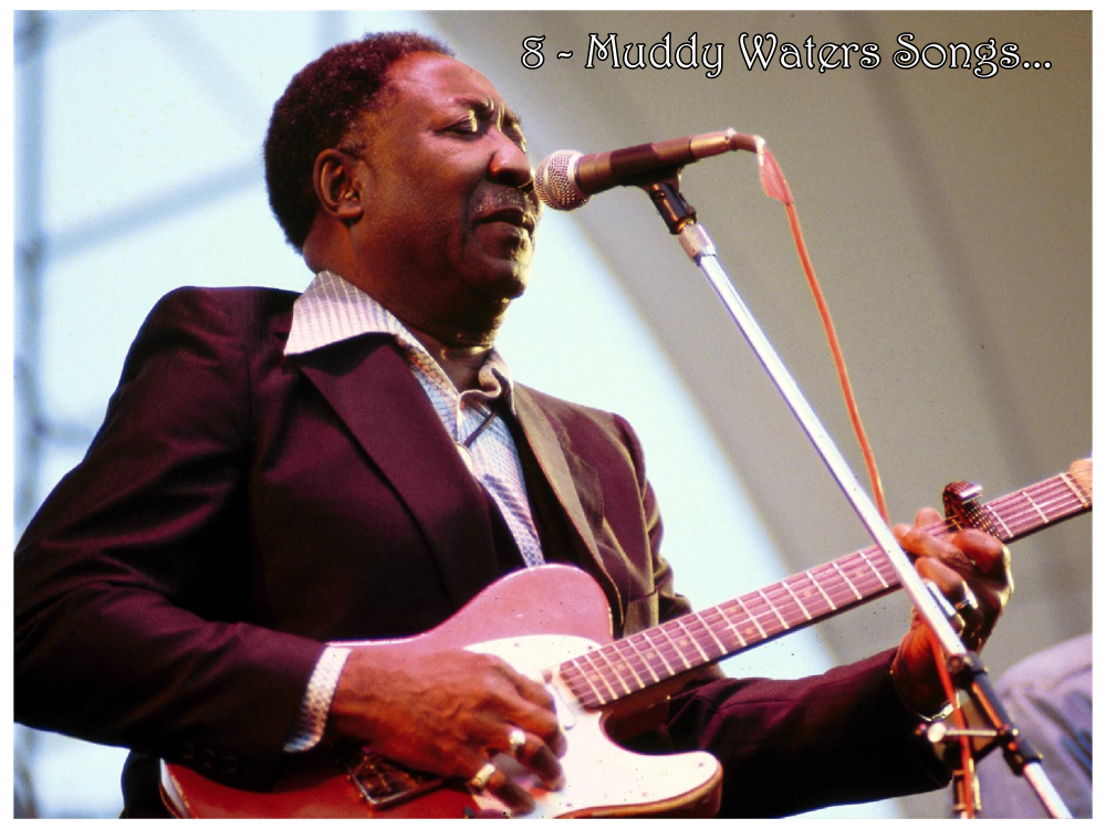 Muddy Waters Profil Resmi