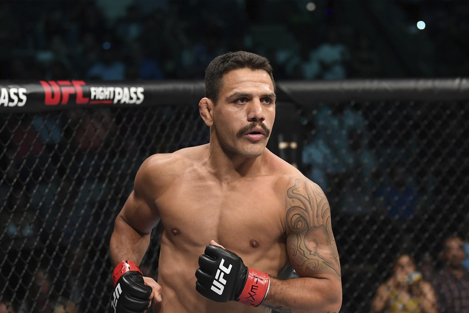Rafael dos Anjos Fotoğrafı - 2