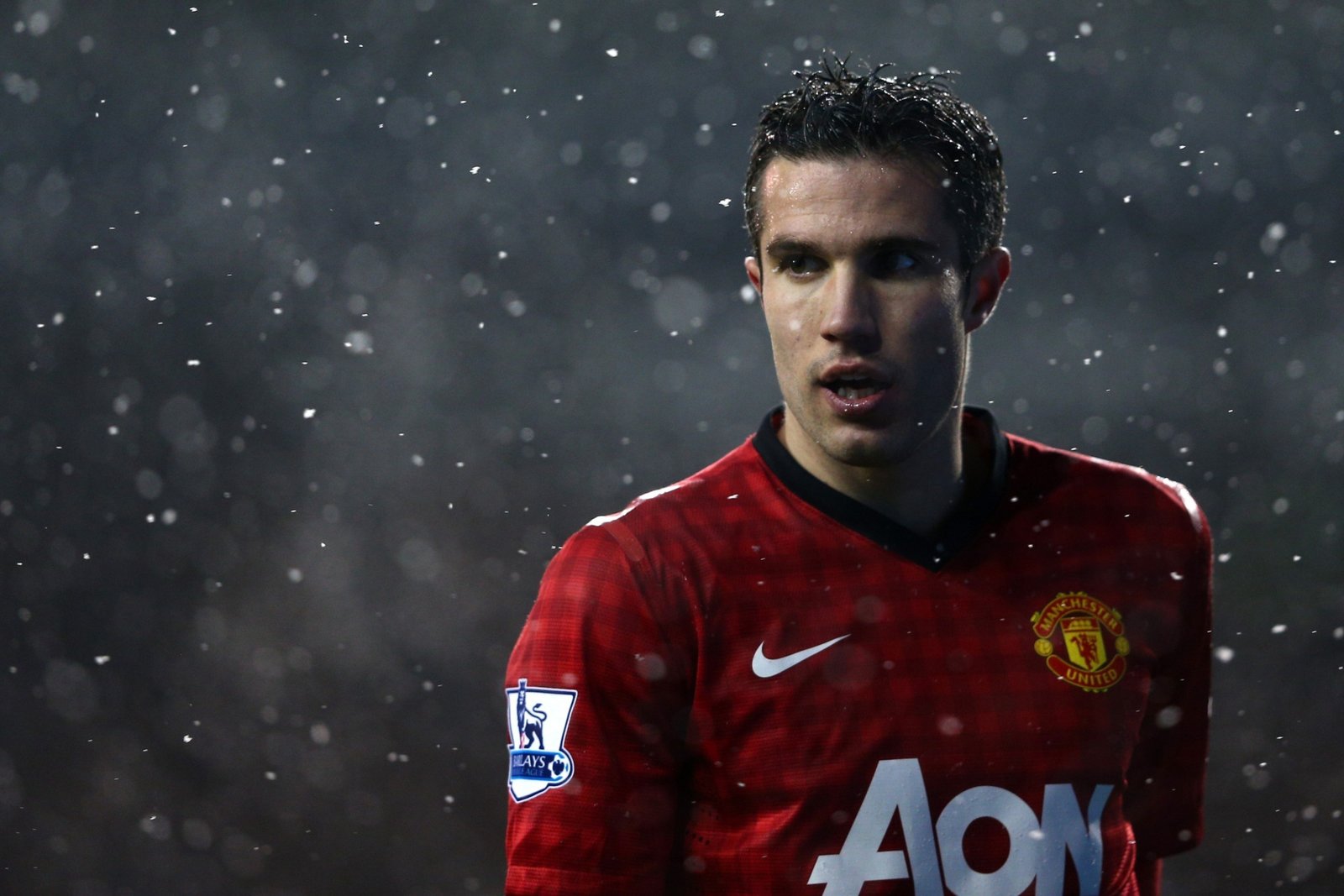 Robin van Persie Fotoğrafı - 3
