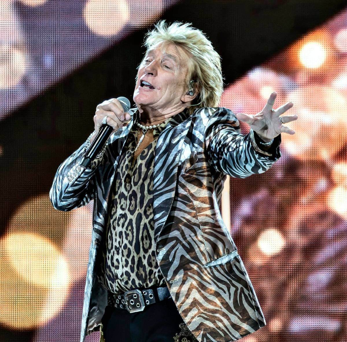 Rod Stewart Fotoğrafı - 2