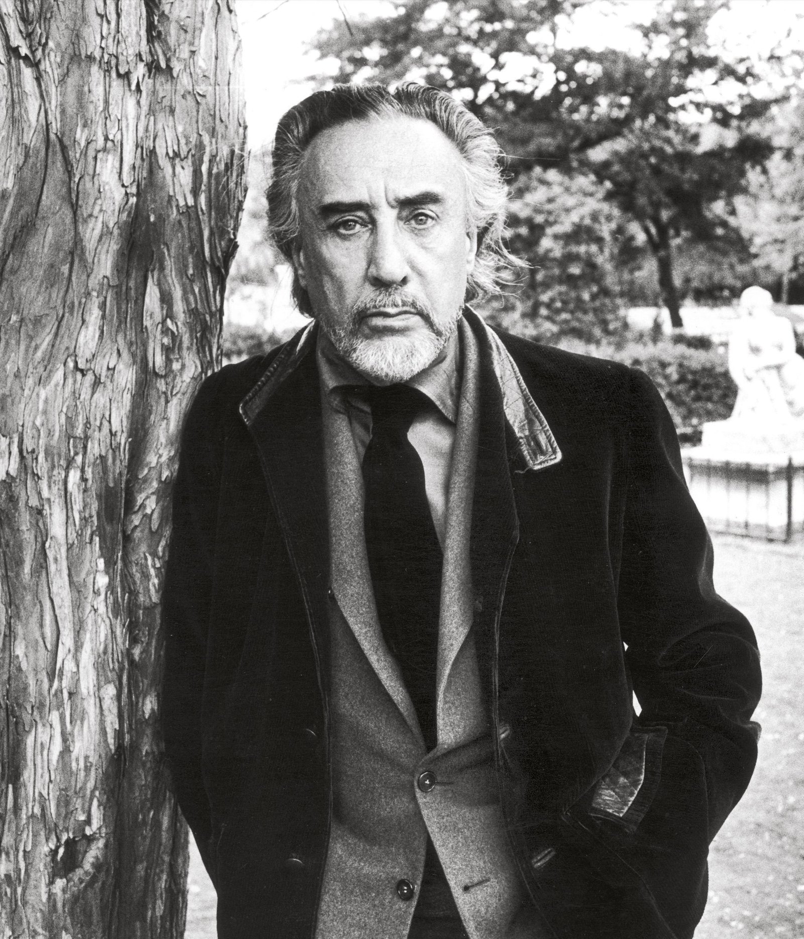 Romain Gary Profil Resmi