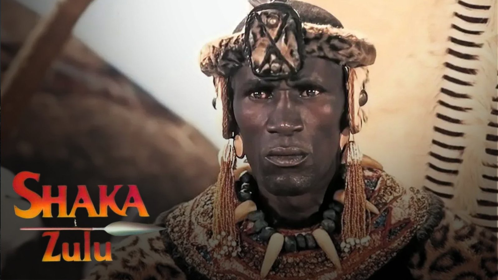 Şaka Zulu Fotoğrafı - 1