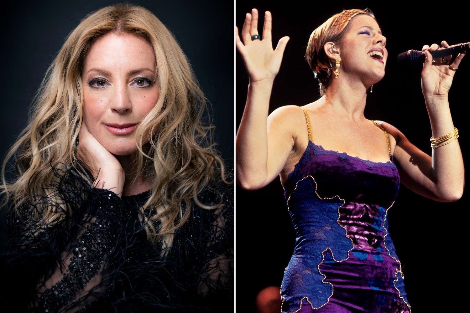 Sarah McLachlan Profil Resmi