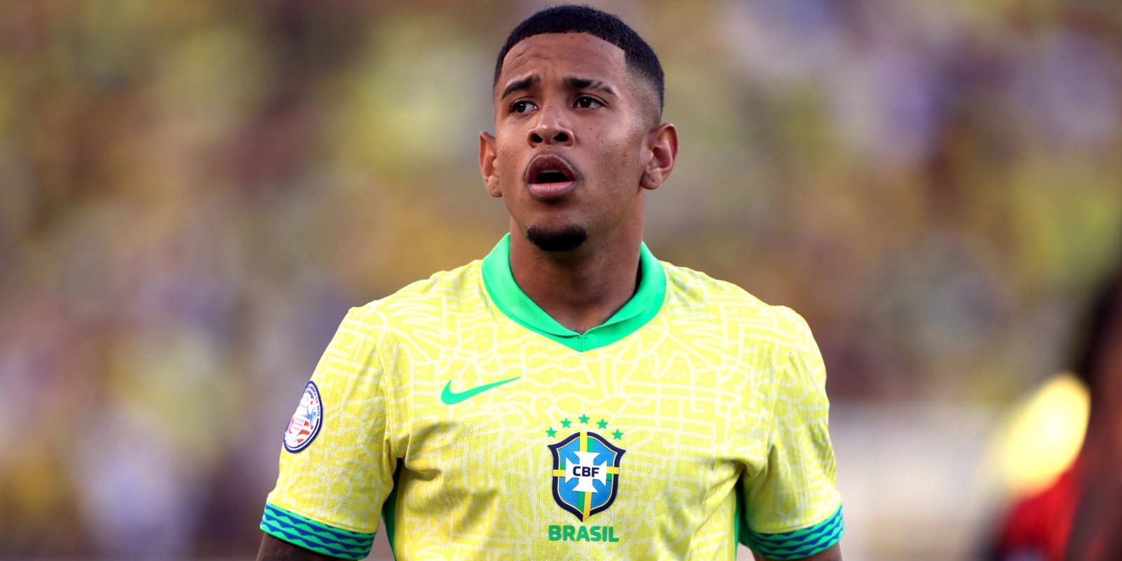 Savinho Profil Resmi