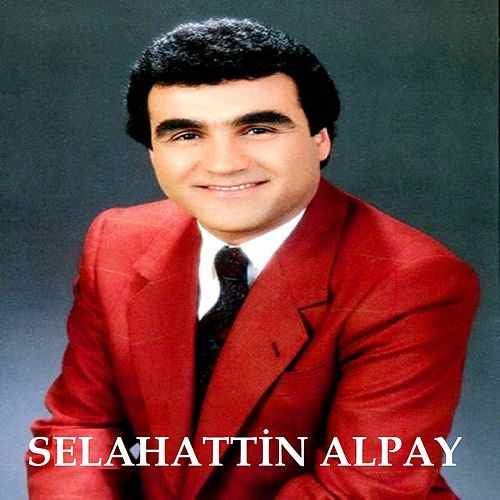 Selahattin Alpay Profil Resmi
