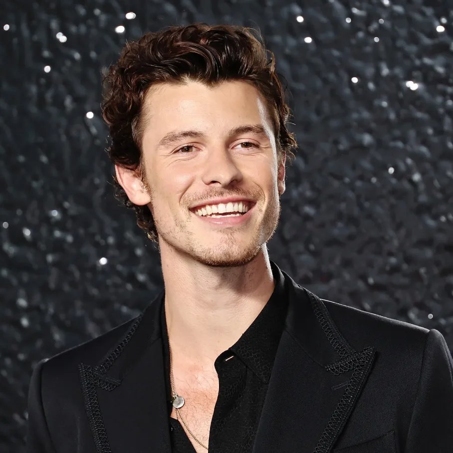 Shawn Mendes Profil Resmi