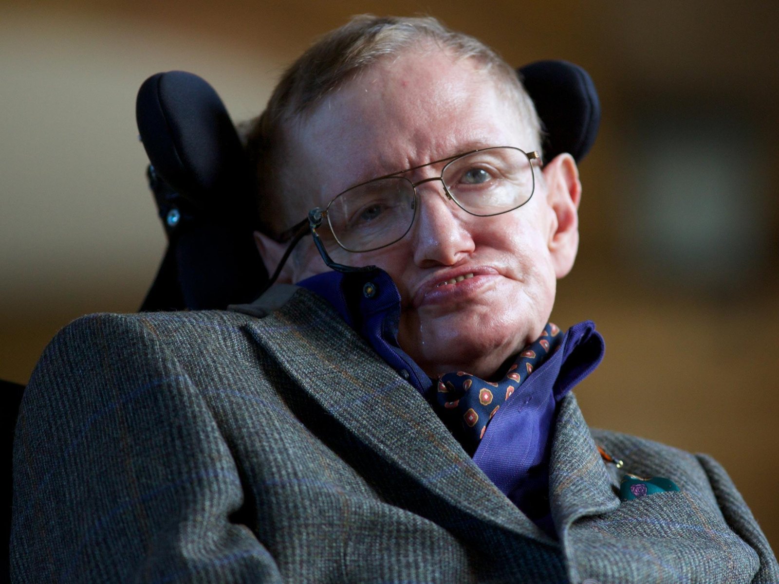 Stephen Hawking Profil Resmi
