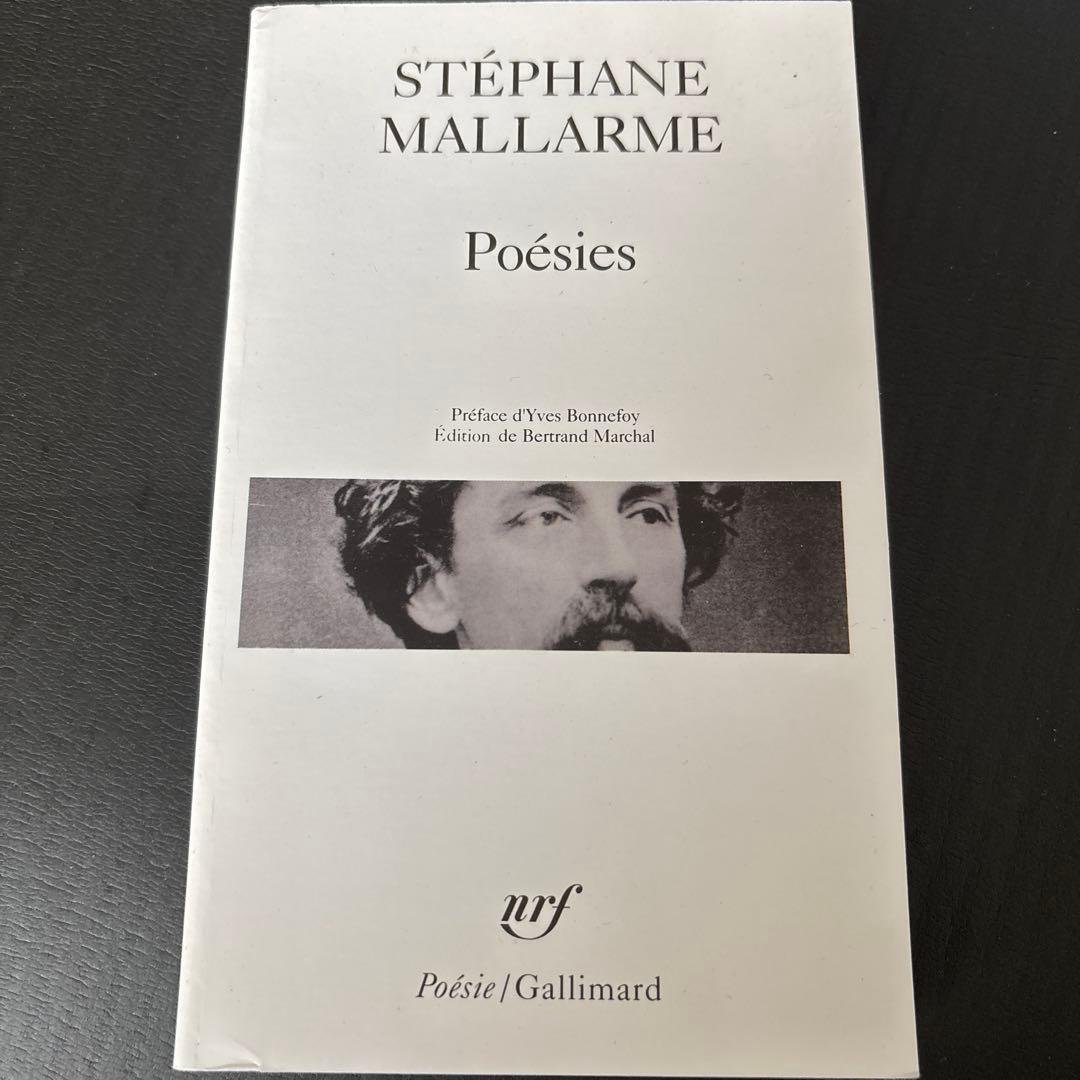 Stéphane Mallarmé Fotoğrafı - 5