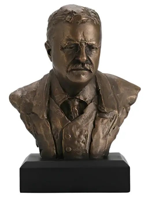 Theodore Roosevelt Fotoğrafı - 3