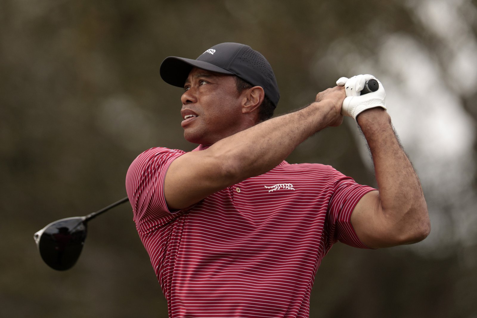 Tiger Woods Profil Resmi