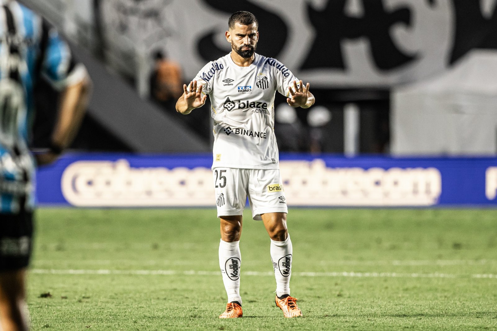 Tomás Rincón Fotoğrafı - 2
