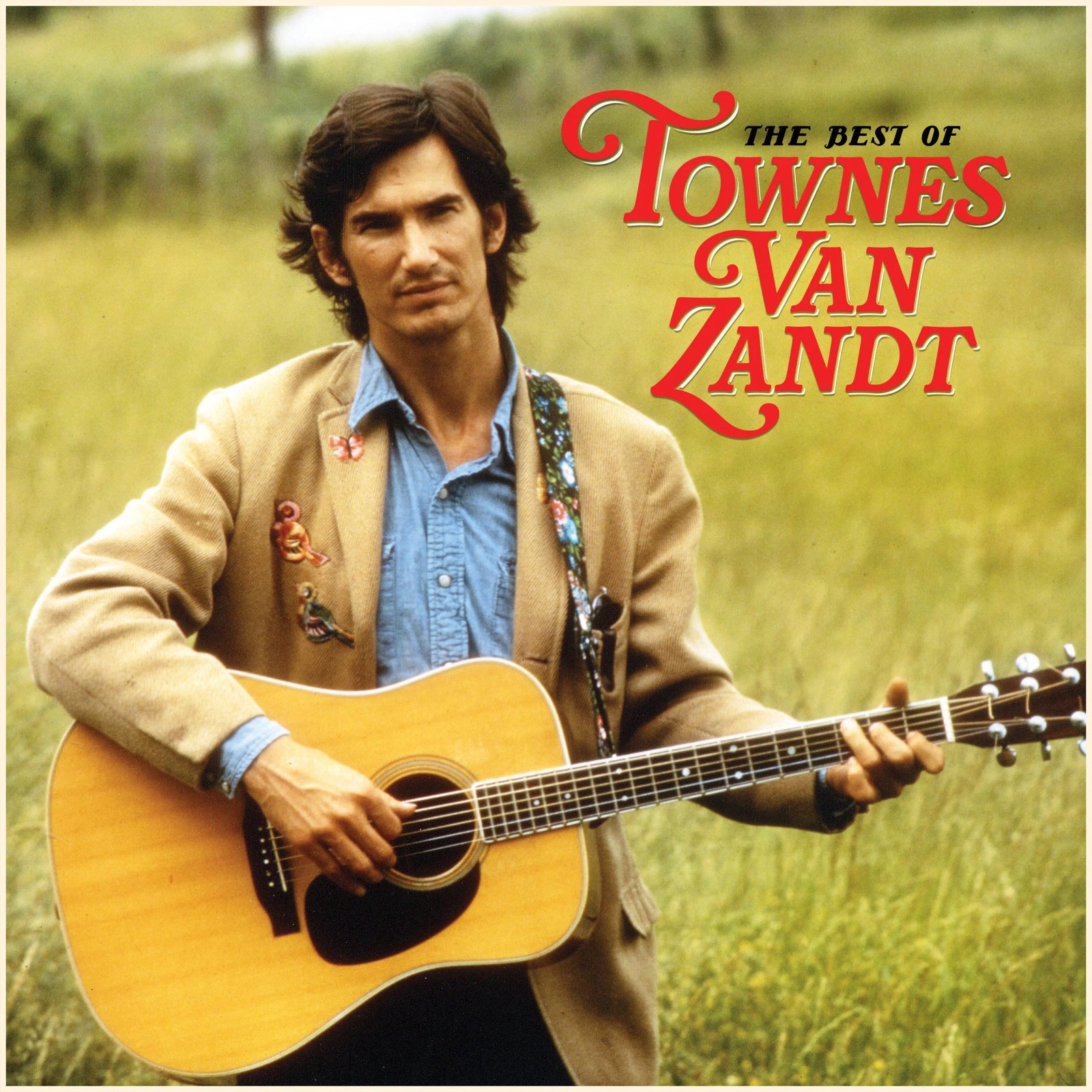 Townes Van Zandt Profil Resmi