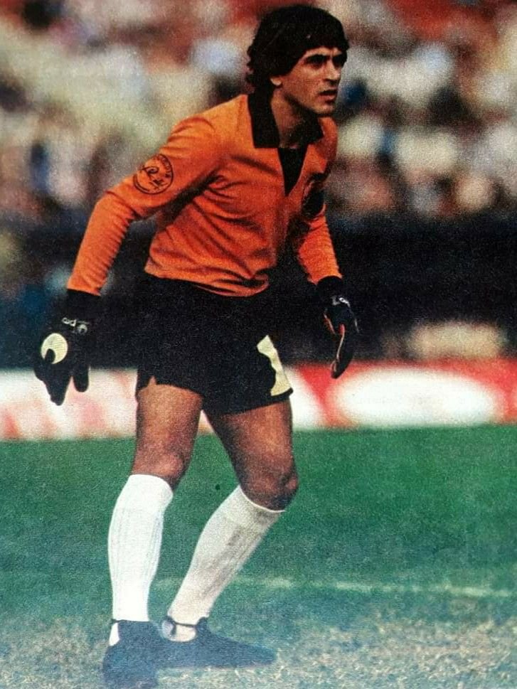 Ubaldo Fillol Fotoğrafı - 5