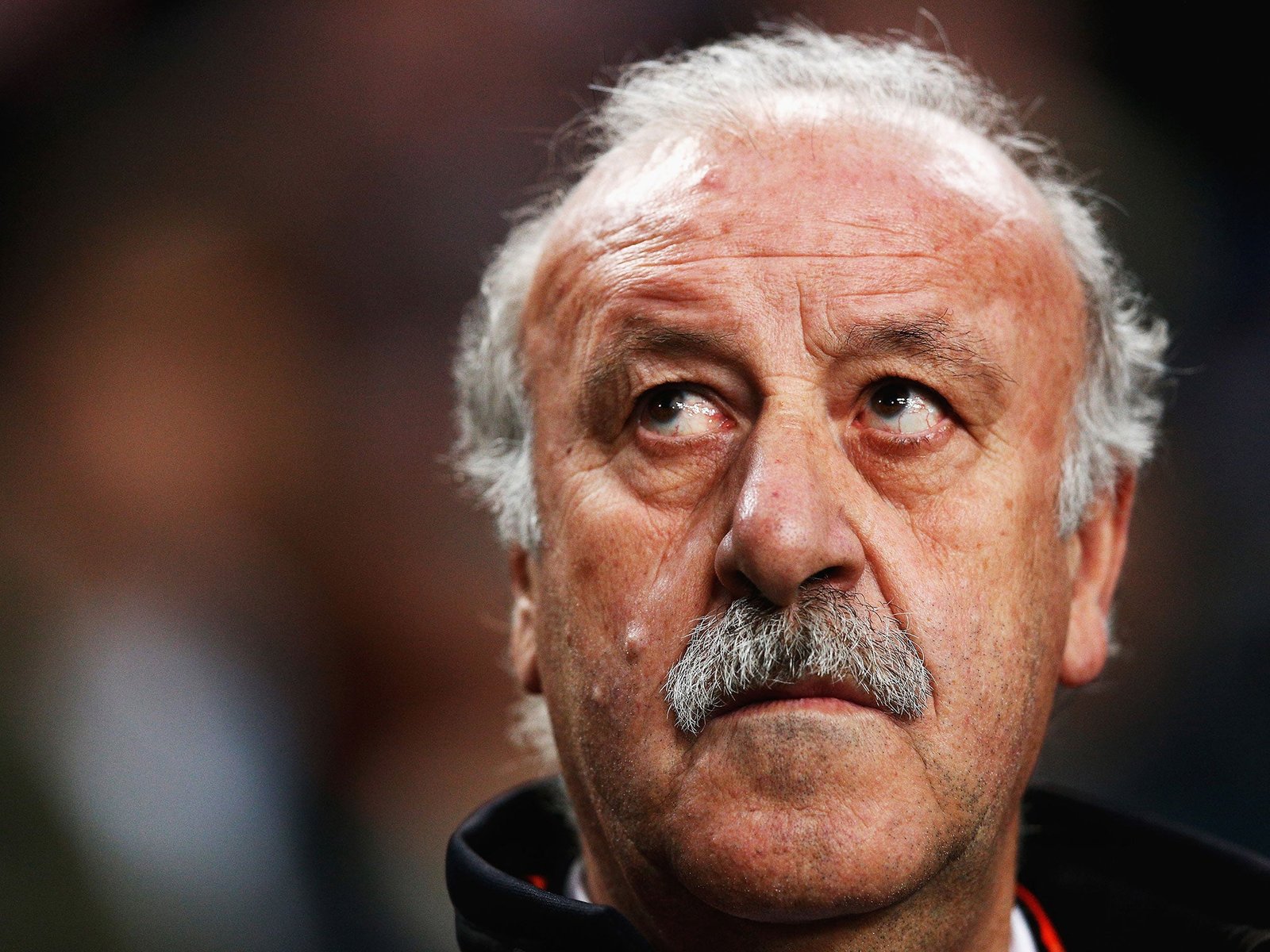 Vicente del Bosque Fotoğrafı - 3