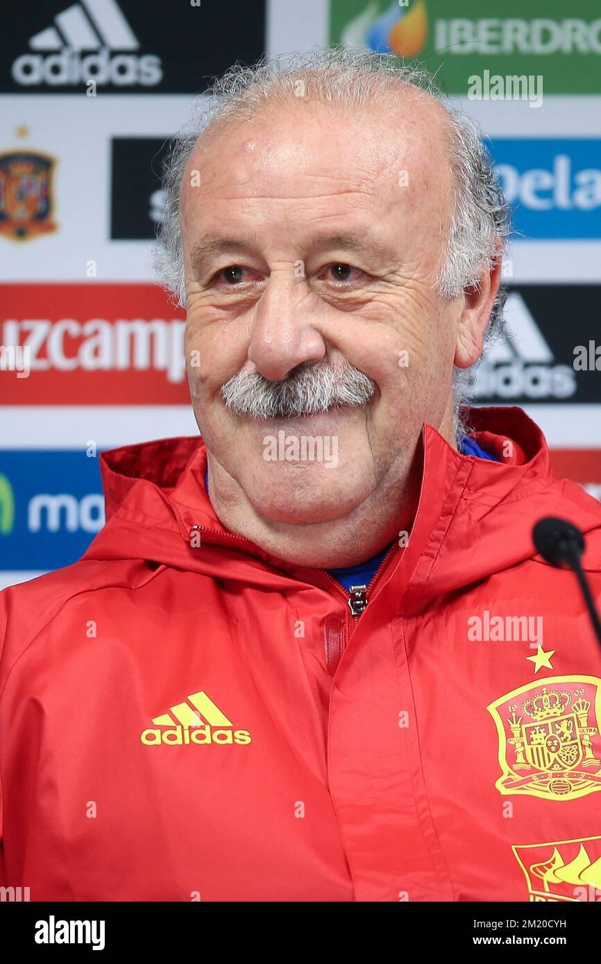 Vicente del Bosque Fotoğrafı - 4