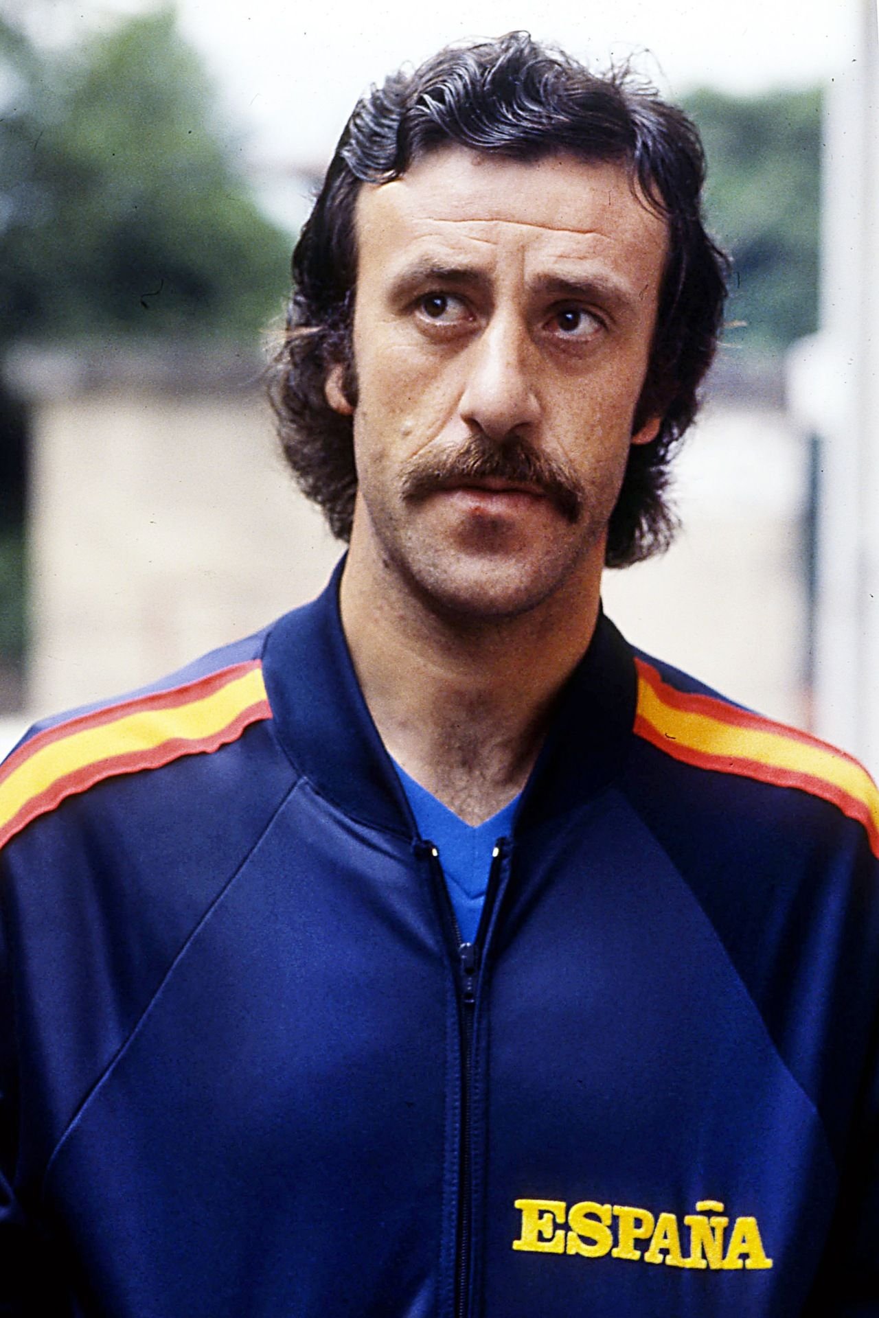 Vicente del Bosque Profil Resmi