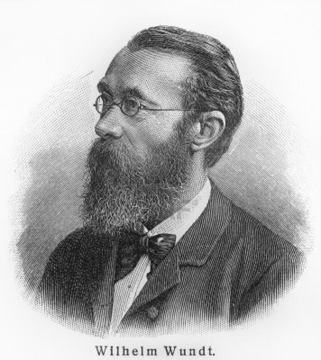 Wilhelm Wundt Profil Resmi