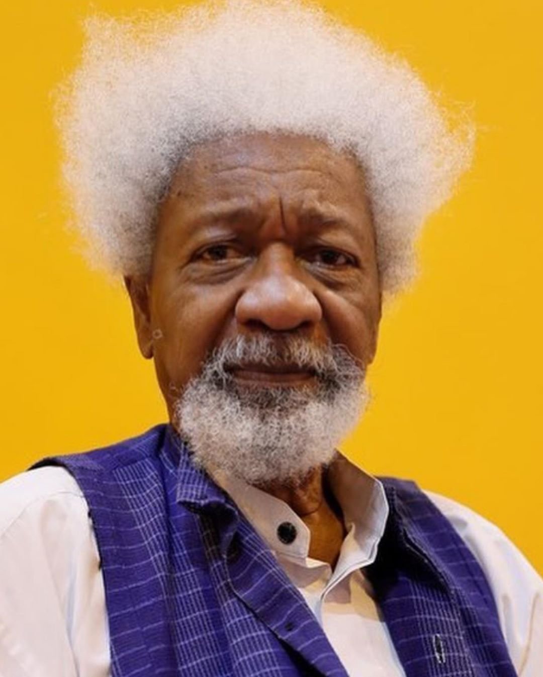 Wole Soyinka Fotoğrafı - 3