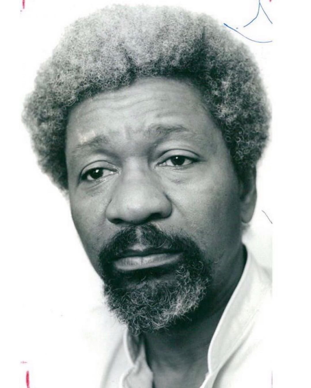 Wole Soyinka Fotoğrafı - 4