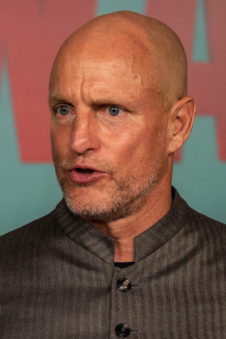 Woody Harrelson Fotoğrafı - 2